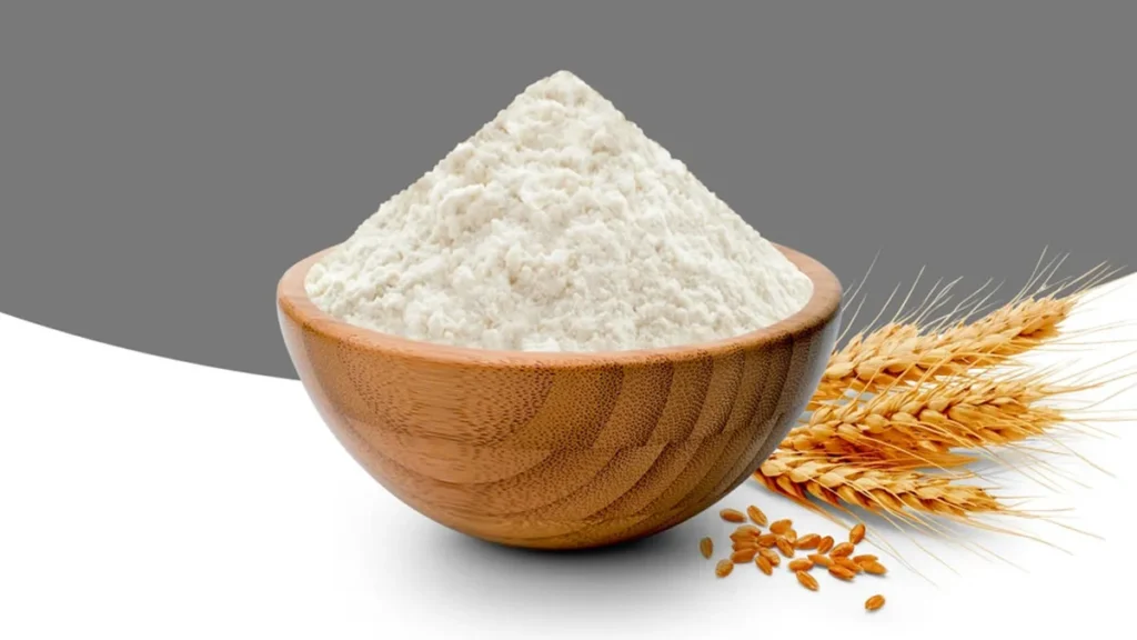 Maida Wholesale Price