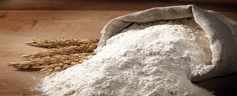 Wholesale wheat flour in kanpur